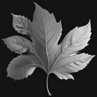leaves clip art black and white