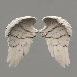 angel wings png