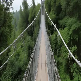 suspension bridge