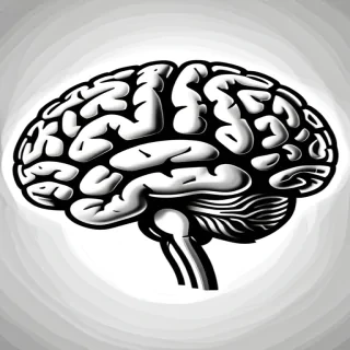 brain images for drawing
