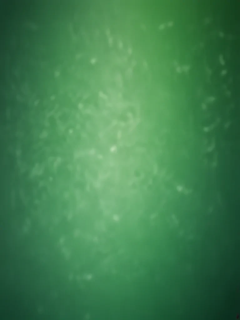 green fade background
