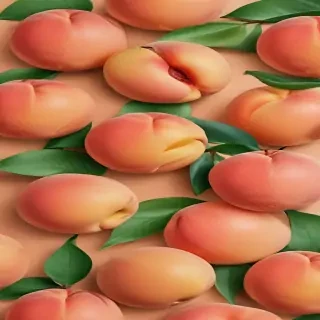 peach background wallpaper
