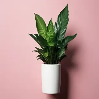 plant phone wallpaper