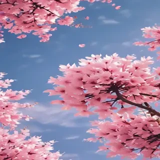 pretty wallpapers aesthetic