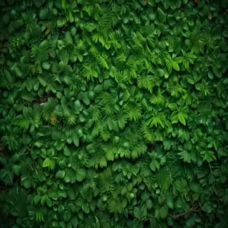 green iphone background