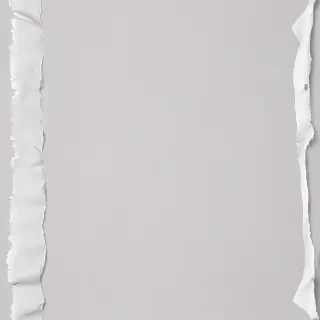 ripped paper transparent
