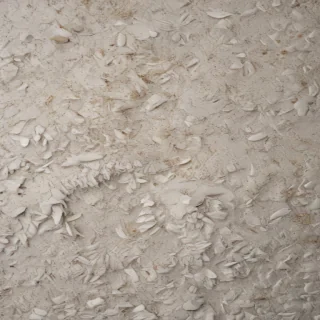 ripped texture