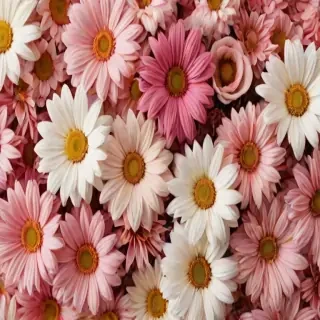 wallpaper aesthetic flowers