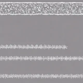 transparent borders