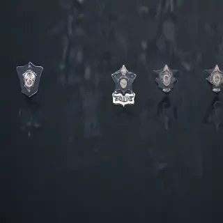 police backgrounds