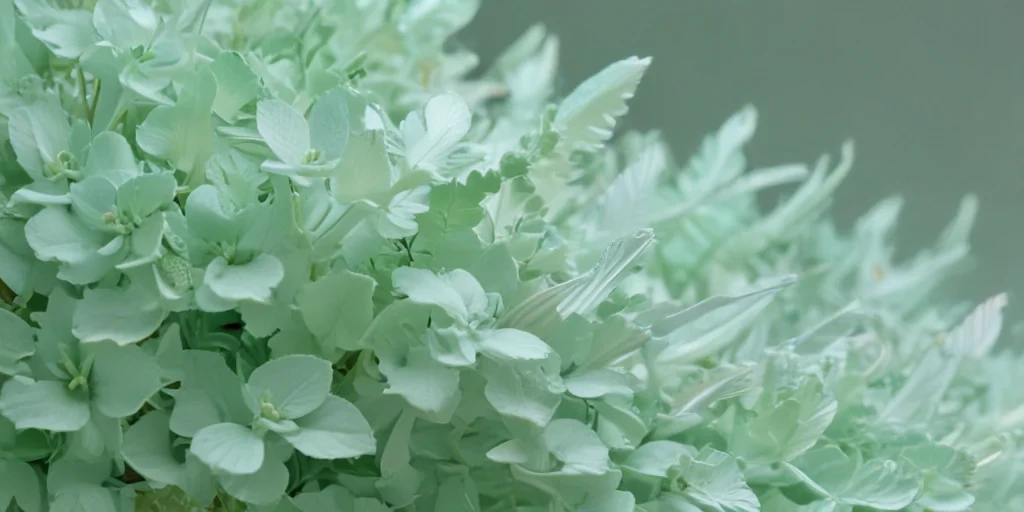 mint green aesthetic