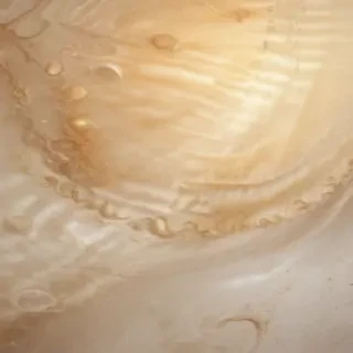 neutral colors background