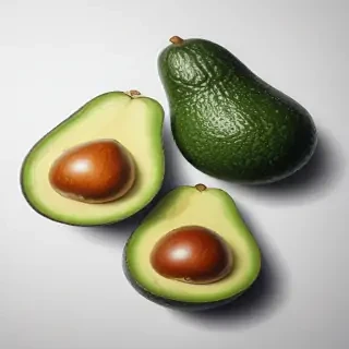 avocado drawing