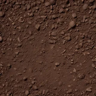 soil png
