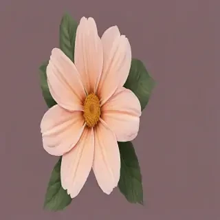 aesthetic flower png