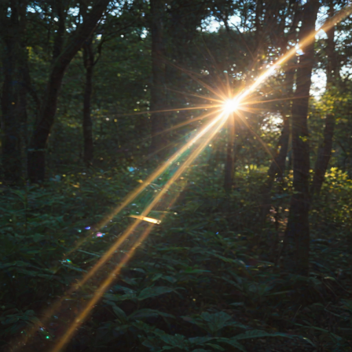 lens flare