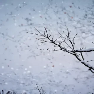 snow background iphone
