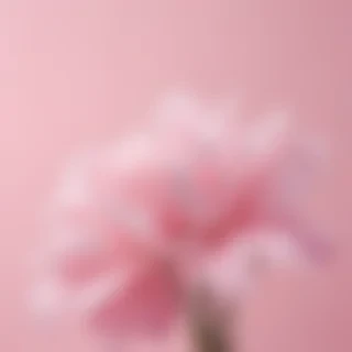 aesthetic light pink background