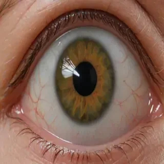 png eyeball