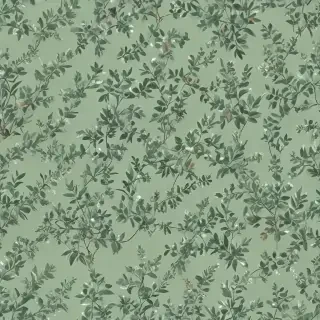 sage green aesthetic background