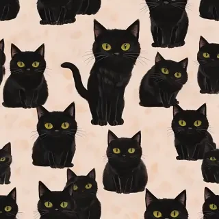 black cats