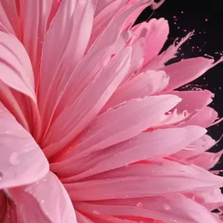 cute pink iphone backgrounds