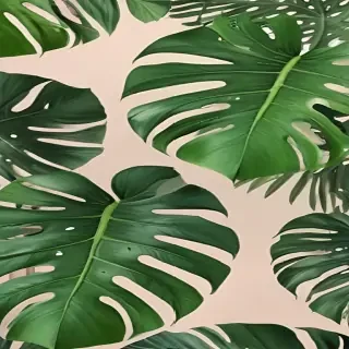 monstera background