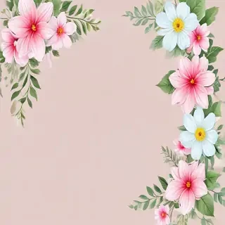 transparent flower border