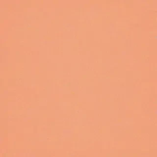 peach color background