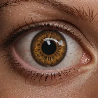 evil eyes png