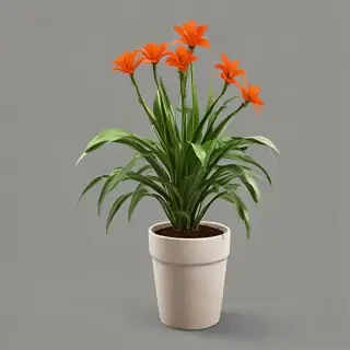 potted plants png