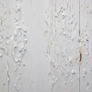 white wood background