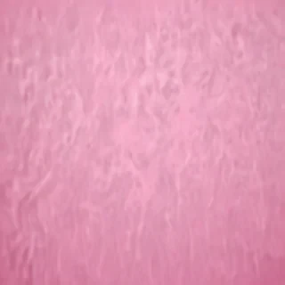 pink plain bg