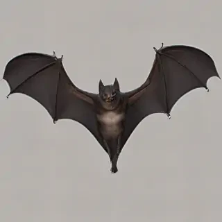 bat png