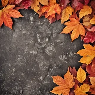 autumn background iphone