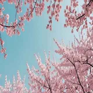 spring backgrounds aesthetic