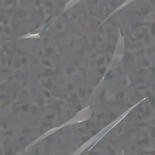 aura transparent