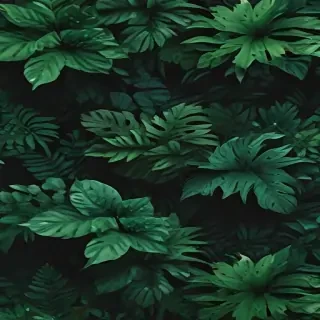 aesthetic backgrounds green