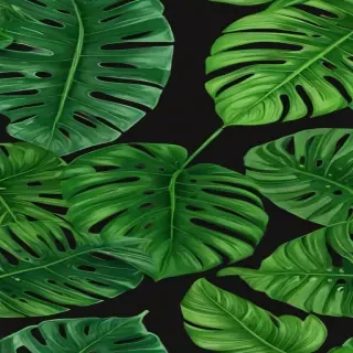 tropical leaf png