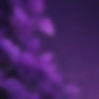 purple aesthetic wallpapers iphone