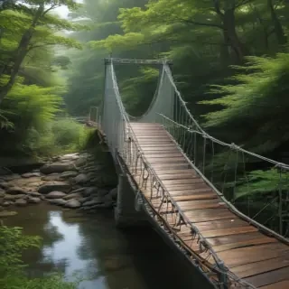 suspension bridge
