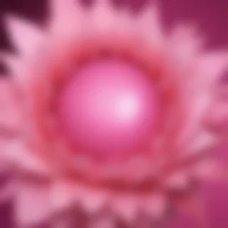 pink zoom backgrounds