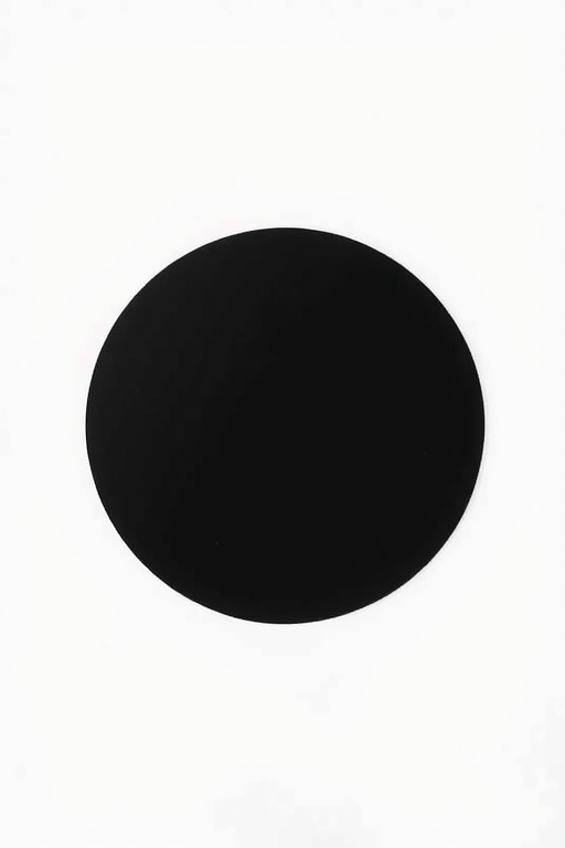 Create a high-resolution image of a perfectly circular black dot on a white background, shot with a DSLR camera at f/8 aperture, ISO 100, with a 50mm lens, using a top-down view and natural lighting to enhance clarity and contrast.