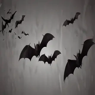 halloween bats png