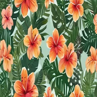 hawaii png