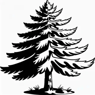 pine tree clipart black and white
