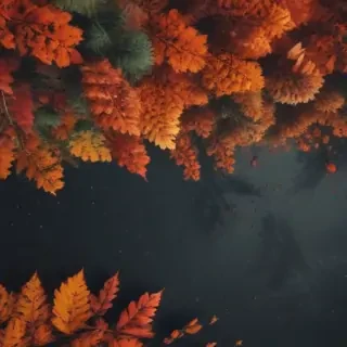 fall aesthetic wallpaper iphone