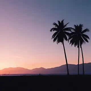 aesthetic simple backgrounds