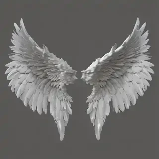 angel wings png