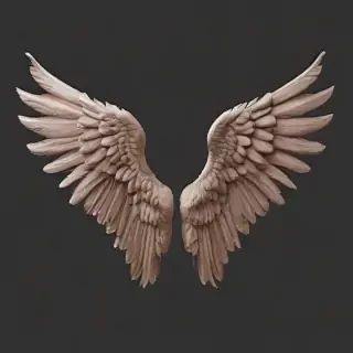 wings transparent background